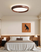 Kaia Aster Acrylic Ceiling Light, detail view 6