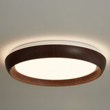 Kaia Aster Acrylic Ceiling Light, detail view 10