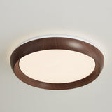 Kaia Aster Acrylic Ceiling Light, detail view 4