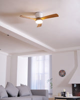 Calia Quartz Wood Ceiling Fan, detail view 57