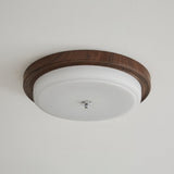 Talia Line Glass Ceiling Light, detail view 14