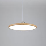Auria Bay Acrylic Pendant Light, detail view 18