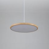 Auria Bay Acrylic Pendant Light, detail view 17