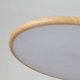 Auria Bay Acrylic Pendant Light, detail view 12