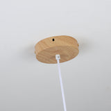 Auria Bay Acrylic Pendant Light, detail view 13