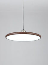 Auria Bay Acrylic Pendant Light, detail view 23