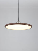 Auria Bay Acrylic Pendant Light, detail view 24