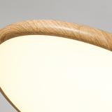 Auria Bay Acrylic Pendant Light, detail view 14