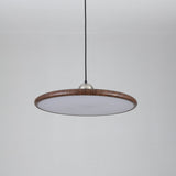 Auria Bay Acrylic Pendant Light, detail view 25