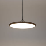 Auria Bay Acrylic Pendant Light, detail view 26