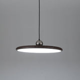 Auria Bay Acrylic Pendant Light, detail view 27