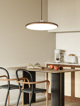 Auria Bay Acrylic Pendant Light, detail view 10