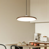 Auria Bay Acrylic Pendant Light, detail view 9