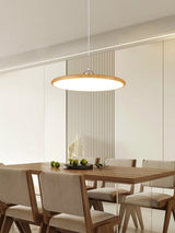 Auria Bay Acrylic Pendant Light, detail view 5