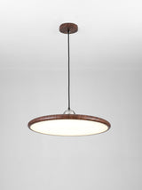 Auria Bay Acrylic Pendant Light, detail view 22