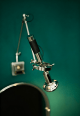 Dalia Bloom Metal Wall Light, detail view 5