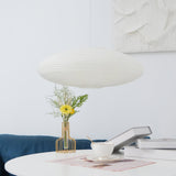 Isla Reed Metal Pendant Light, detail view 22