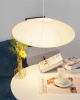 Isla Reed Metal Pendant Light, detail view 49