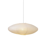 Ilan Field Metal Pendant Light, detail view 45