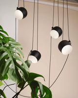 Tarin Vale Acrylic Pendant Light, detail view 19