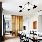 Solen Silva Brass Ceiling Light, detail view 2