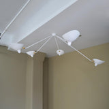 Solen Silva Brass Ceiling Light, detail view 28