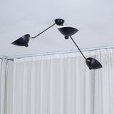 Solen Silva Brass Ceiling Light, detail view 16