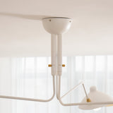 Talia Grove Brass Ceiling Light, detail view 64