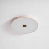 Calia Moss Travertine Ceiling Light, detail view 36