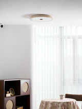 Calia Moss Travertine Ceiling Light, detail view 27