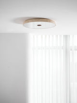 Calia Moss Travertine Ceiling Light, detail view 29