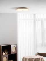 Calia Moss Travertine Ceiling Light, detail view 32