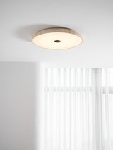 Calia Moss Travertine Ceiling Light, detail view 25