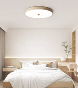 Calia Moss Travertine Ceiling Light, detail view 16