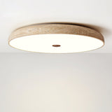 Calia Moss Travertine Ceiling Light, detail view 14