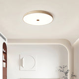Calia Moss Travertine Ceiling Light, detail view 3