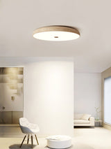 Calia Moss Travertine Ceiling Light, detail view 7
