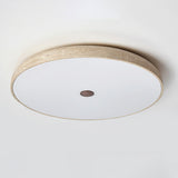 Calia Moss Travertine Ceiling Light, detail view 10