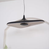 Elora Hearth Metal Pendant Light, detail view 49