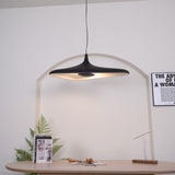 Elora Hearth Metal Pendant Light, detail view 24