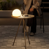 Amara Noir Steel Outdoor Light, detail view 6