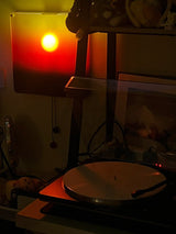 Oriel Wisp Acrylic Wall Light, detail view 7