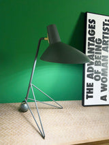 Sora Lark Metal Table Lamp, detail view 7