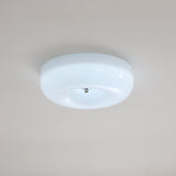 Aster Vista Glass Ceiling Light, detail view 37
