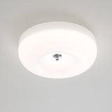 Aster Vista Glass Ceiling Light, detail view 42