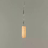 Vera Opal Metal Pendant Light, detail view 48