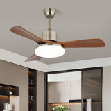 Luma Grove Acrylic Ceiling Fan, detail view 3
