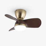 Vian Vale Acrylic Ceiling Fan by Maison Velume