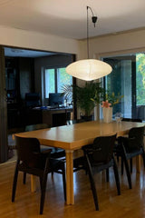 Ilan Field Metal Pendant Light, detail view 62
