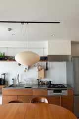 Ilan Field Metal Pendant Light, detail view 51